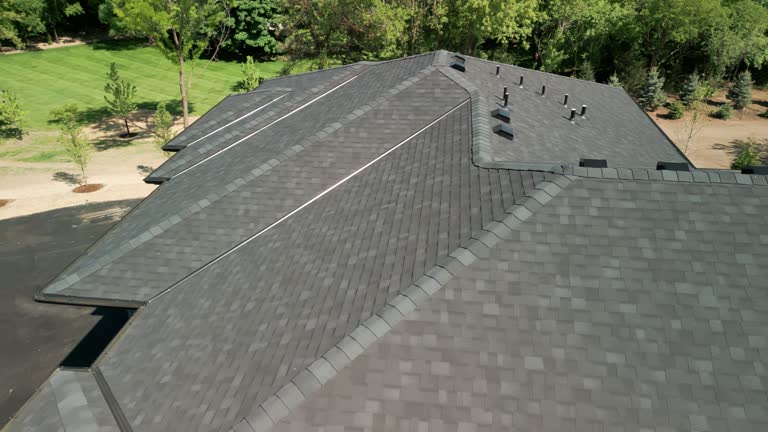 Best Chimney Flashing Repair  in Long Lake, MN