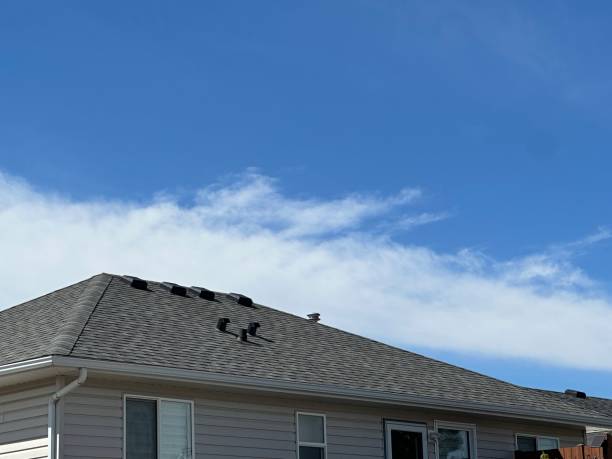 Best Roof Leak Repair  in Long Lake, MN